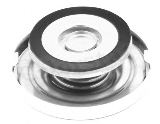 DAF 561582 Radiator Cap